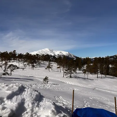 Mountain Cabin With A View Holiday home